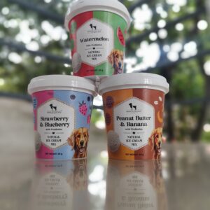 HUFT STRAWBERRY AND BLUEBERRY WITH PREBIOTICS NATURAL ICECREAM MIX DOG TREATS -40GM