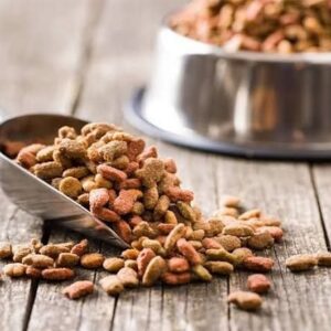 Dog Food